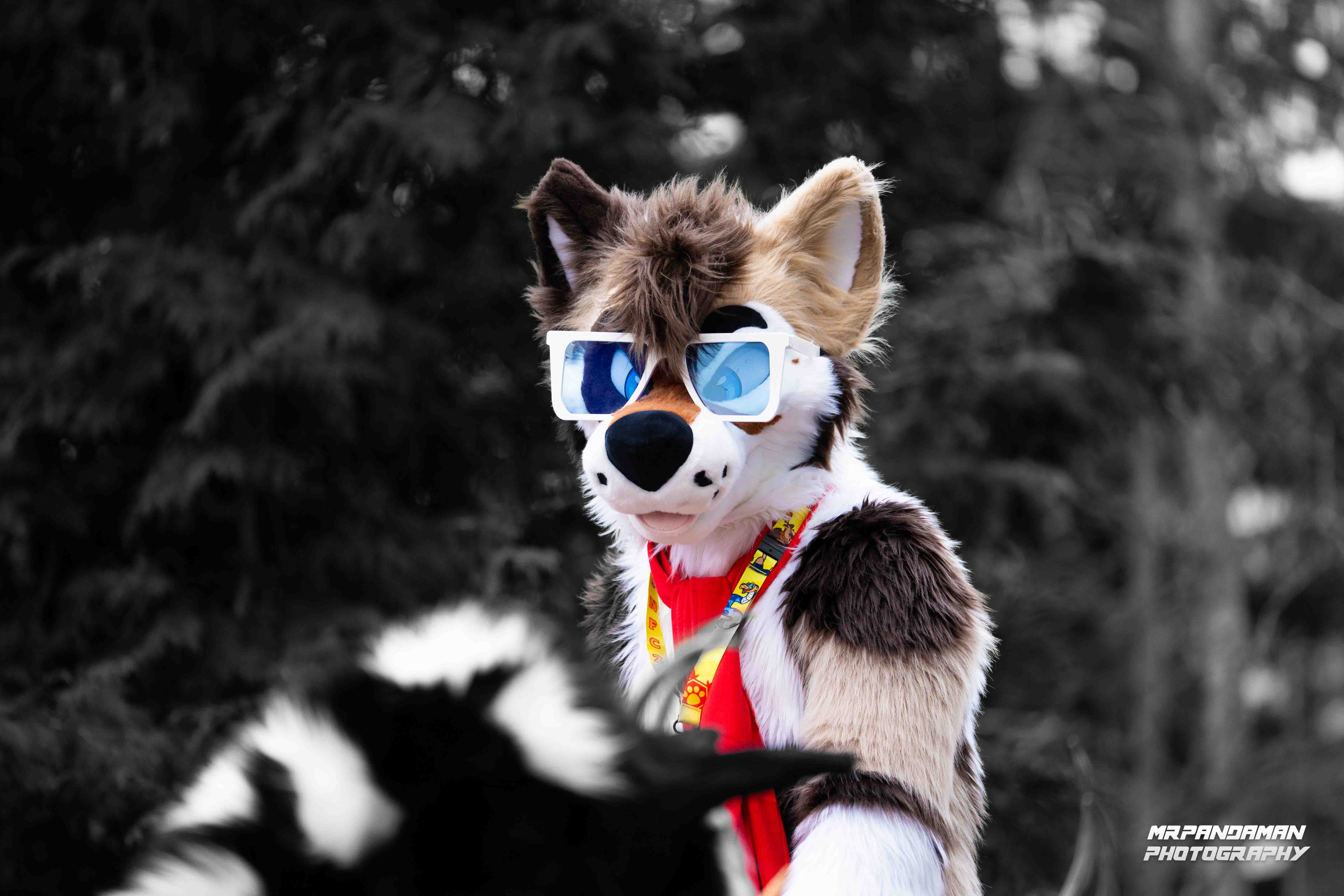 DSC02364 - Nordic Fuzz Con 2026